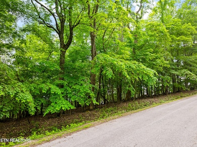 0 Running Deer Tr unit 1322139, Caryville, TN 37714 - photo 3