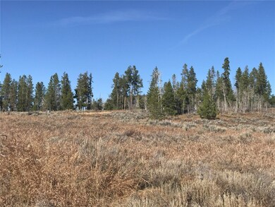 33512 Seneca Trail, Oak Creek, CO 80467 - photo 6