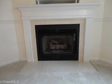 Other. Gas Log Fireplace