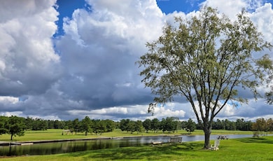 15588 Intrepid Ln, Willis, TX 77378 - photo 6