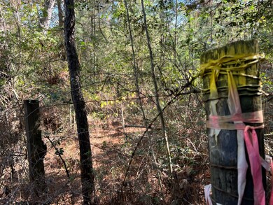 0 Sugar Bend Dr, Magnolia, TX 77355 - photo 7