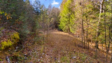 0 Cr-1039, Beattyville, KY 41311 - photo 4