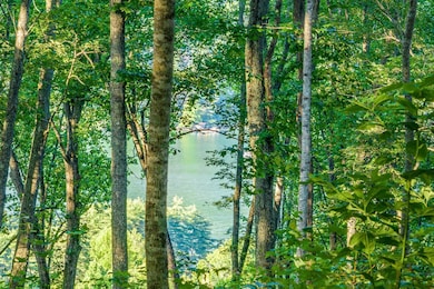 8 S Ridgeline Rd, Cullowhee, NC 28723 - photo 6