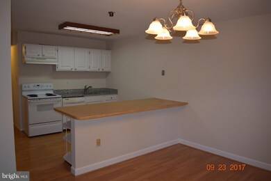 9810 Kingsbridge Dr unit 101, Fairfax, VA 22031 - photo 6