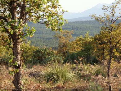 12 Hoot Owl Trail, Payson, AZ 85541 - photo 5