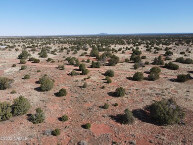 DJI_0263