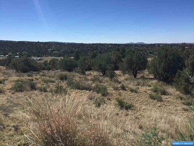 21 Antelope Run, Silver City, NM 88061 - photo 4