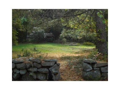 Yard/Garden.