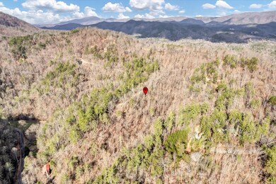 Lot 17 Meadow View Rd, Sevierville, TN 37862 - photo 6