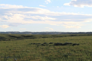 7916 Nitro Rd, Casper, WY 82646 - photo 5