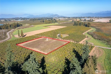 9919 Holmquist Rd, Lynden, WA 98264 - photo 3