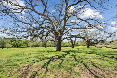 1220 River View Rd, Millsap, TX 76066 - photo 6