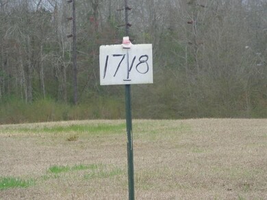 0 T C Brumfield Rd, Franklinton, LA 70438 - photo 2