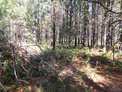 16951 Fontana, Bend, OR 97707 - photo 2