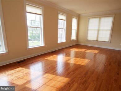 12811 Fox Fern Ln, Clarksburg, MD 20871 - photo 5