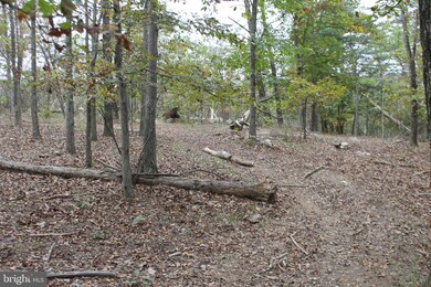 0 0 890 Acres Fountain Head Dr, Keyser, WV 26726 - photo 3