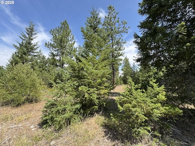 00 Ranger Rd, Goldendale, WA 98620 - photo 7