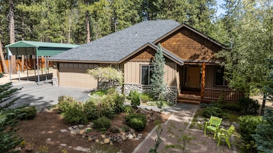 forest-aerial-4