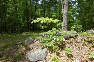 Lot 33 Nevins Rd, Hollis, NH 03054 - photo 5