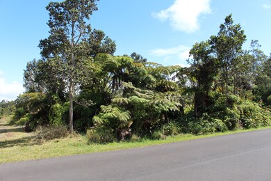 0 Nahelenani St unit 717910, Volcano, HI 96785 - photo 6
