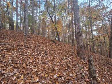 LT2909 Newton Ln, Ellijay, GA 30540 - photo 3