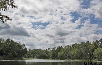 1930 Stonegate Cir, Tyler, TX 75703 - photo 3