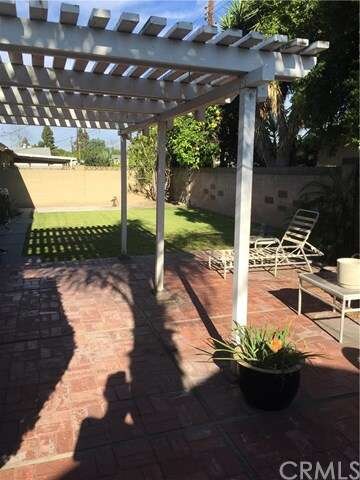 Quiet backyard with mature grapefruit.