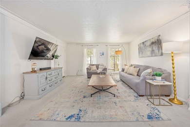 The living room with expansive windows creating an airy, comfortable gathering space.
