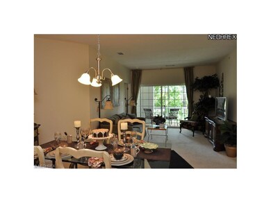 717 Aqua Marine Blvd unit 717, Avon Lake, OH 44012 - photo 7