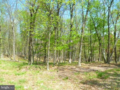 15 Edward Kidwell Rd Noland Rd, Slanesville, WV 25444 - photo 5