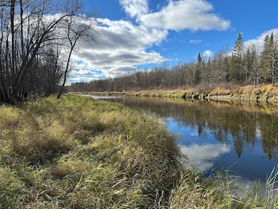 TBDxx Minnesota 65, Jacobson, MN 55752 - photo 2