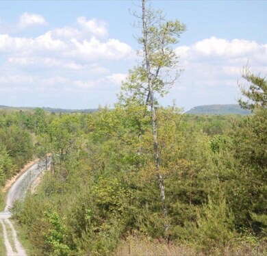 Brier Lane IMG_0653