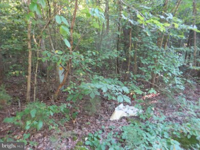 7309 Lakewood Ln, Spotsylvania Courthouse, VA 22551 - photo 6