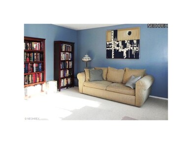 Living room area has newer berber carpeting.