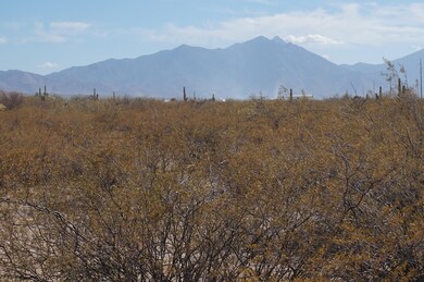 17821 S Wilmot Rd, Sahuarita, AZ 85629 - photo 3