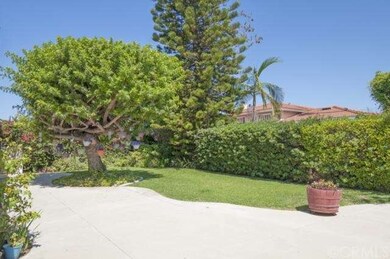 Another view of back yard