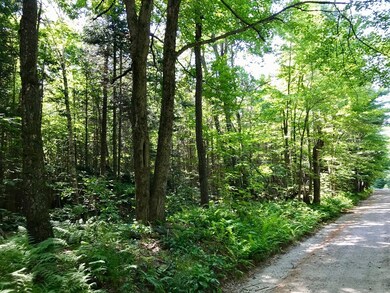 0 Hosmer Rd unit 72371306, Heath, MA 01346 - photo 2