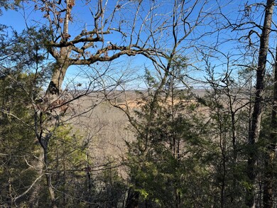 60A Tablerock Rd, Evening Shade, AR 72532 - photo 6