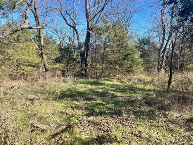 Lot Pic 1