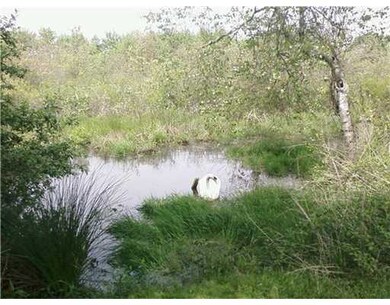 4211 Old Post Rd, Charlestown, RI 02813 - photo 4