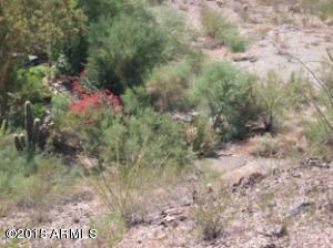 1758 E Cinnabar Ave, Phoenix, AZ 85020 - photo 4