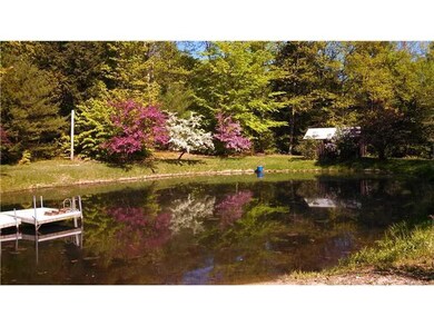 Waterfront/Dock/Pier. The small pond...