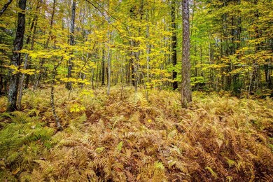 0 Fellows Rd unit 4887186, Guildhall, VT 05905 - photo 7