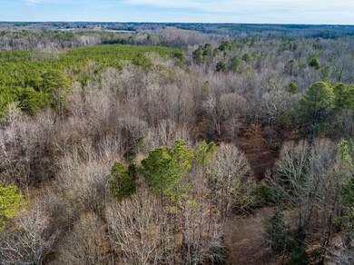 3053 Plank Rd, South Hill, VA 23970 - photo 7