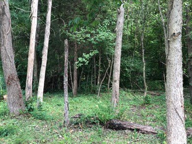 9105 Maple Rd, Louisville, KY 40229 - photo 2