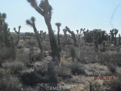 0 Hemlock unit CV17263110, Pinon Hills, CA 92372 - photo 3