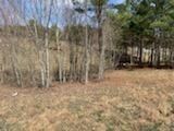 Lot 160 River Bluffs Dr, Jasper, TN 37347 - photo 5
