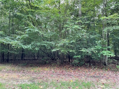 10.88 AC Beech Creek Rd, Gloucester, VA 23061 - photo 4