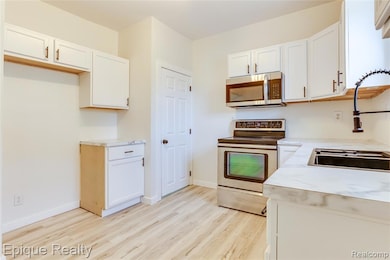 711 Stanton St, Port Huron, MI 48060 - photo 4