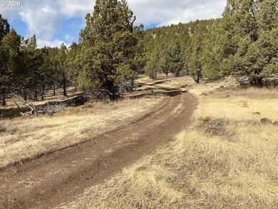 0 Shop Gulch unit 20573615, Mount Vernon, OR 97865 - photo 6